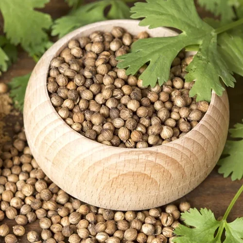 Coriander Seeds